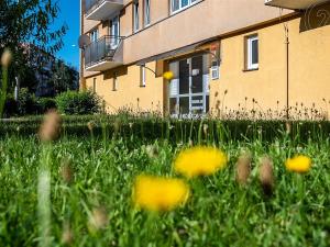 Prodej bytu 3+1, České Budějovice - České Budějovice 7, Lidická tř., 64 m2