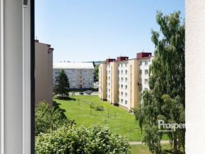 Prodej bytu 1+1, Horní Slavkov, U Lesoparku, 35 m2