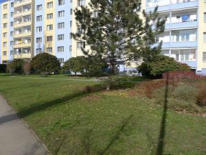 Pronájem bytu 1+1, Praha - Záběhlice, Jasmínová, 36 m2