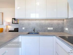 Pronájem bytu 2+kk, Plzeň, Stehlíkova, 73 m2