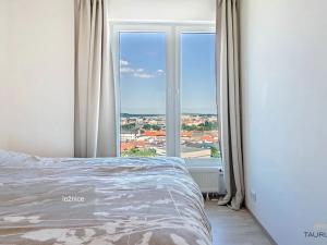 Pronájem bytu 2+kk, Plzeň, Stehlíkova, 73 m2