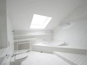 Pronájem bytu 6+kk a větší, Praha - Braník, Psohlavců, 300 m2