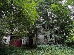 Prodej chalupy, Černovice, 90 m2