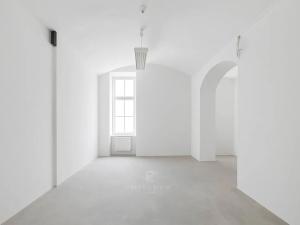 Pronájem obchodního prostoru, Praha - Nové Město, Malá Štěpánská, 202 m2
