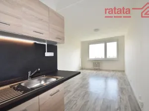 Pronájem bytu 2+kk, Most, Josefa Ševčíka, 40 m2