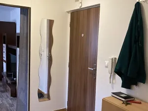 Prodej bytu 2+1, Boskovice, Vodní, 46 m2