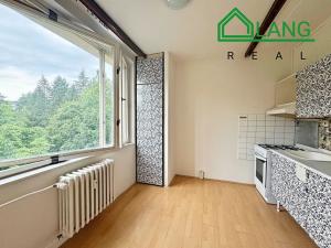 Pronájem bytu 1+1, Brno, Heyrovského, 49 m2