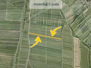 Prodej pole, Javorník, 6820 m2