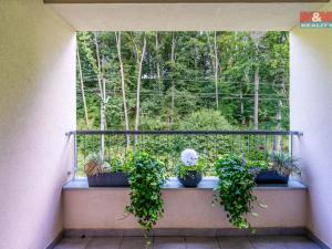 Prodej bytu 3+kk, Kvasiny, 84 m2