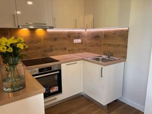 Pronájem bytu 2+kk, Frýdek-Místek, Bavlnářská, 45 m2