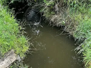 Prodej chaty, Zajíčkov, 70 m2