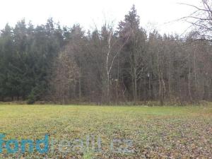 Prodej pole, Zdíkov - Branišov, 20225 m2