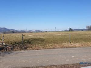 Prodej louky, Police nad Metují, 8000 m2