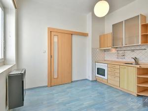 Prodej bytu 1+1, Velké Březno, 32 m2