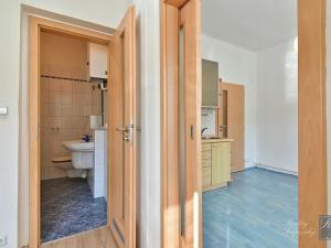 Prodej bytu 1+1, Velké Březno, 32 m2