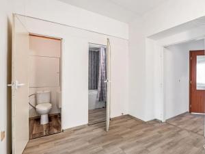 Pronájem bytu 2+1, Děčín, Kamenická, 66 m2
