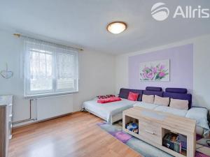 Prodej vícegeneračního domu, Horní Loučky, 370 m2