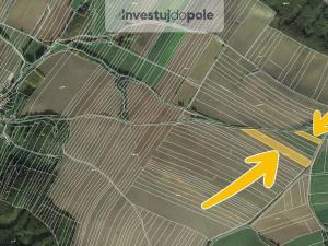 Prodej pole, Hředle, 8183 m2