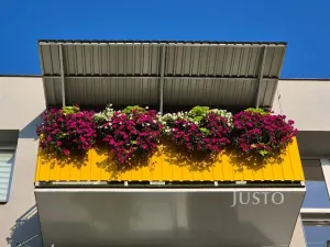 Prodej bytu 3+1, Písek, třída Přátelství, 64 m2