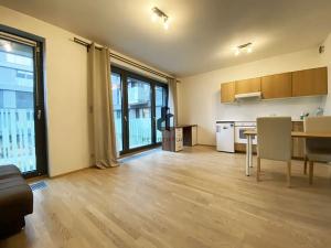 Pronájem bytu 1+kk, Praha - Žižkov, Olšanská, 35 m2