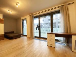Pronájem bytu 1+kk, Praha - Žižkov, Olšanská, 35 m2