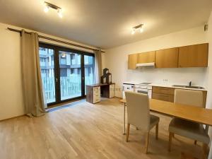 Pronájem bytu 1+kk, Praha - Žižkov, Olšanská, 35 m2