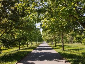 Pronájem bytu 4+kk, Hradec Králové, Pospíšilova, 95 m2
