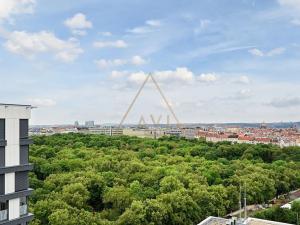 Pronájem bytu 4+kk, Praha - Žižkov, Olšanská, 100 m2