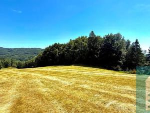Prodej chaty, Držková, 54 m2