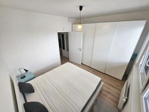 Pronájem bytu 2+kk, Praha - Žižkov, V zahrádkách, 56 m2