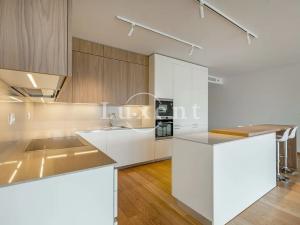 Pronájem bytu 4+kk, Praha - Smíchov, Holečkova, 174 m2