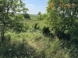Prodej pozemku pro bydlení, Horní Věstonice, Mandloňová, 172 m2