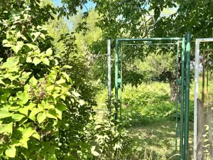 Prodej zahrady, Opatovice, 554 m2