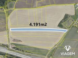 Prodej podílu pole, Praha - Cholupice, 4190 m2