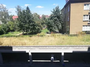 Pronájem bytu 2+kk, Praha - Strašnice, Černokostelecká, 56 m2