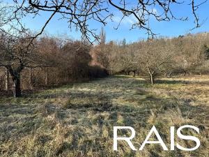 Prodej zahrady, Brno, Cacovice, 6550 m2