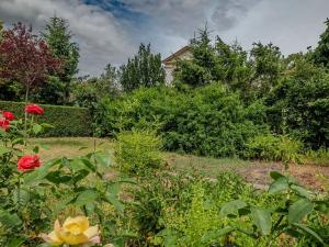 Prodej bytu 3+kk, Poděbrady, U Plynovodu, 67 m2
