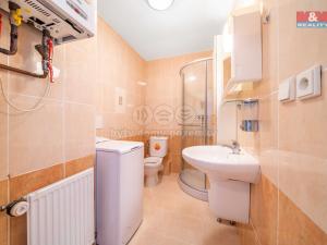 Pronájem bytu 1+1, Praskolesy, 30 m2
