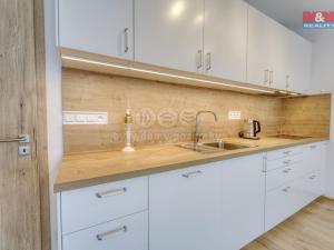 Pronájem bytu 1+kk, Plzeň, Měděná, 41 m2
