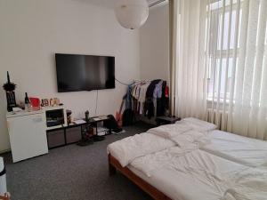 Prodej bytu 4+1, Brno - Veveří, Lidická, 116 m2