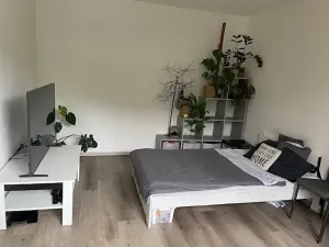 Pronájem bytu 1+1, Ústí nad Labem, Tolstého, 37 m2