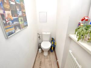 Pronájem bytu 2+1, Kolín, Míru, 60 m2