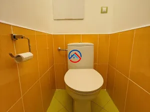 Pronájem bytu 3+1, Olomouc, Dělnická, 61 m2