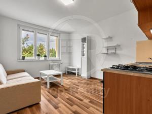 Prodej bytu 1+1, Chodov, Čapkova, 38 m2