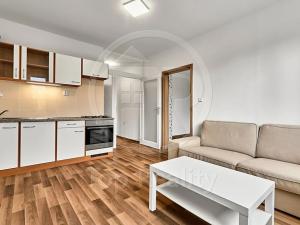 Prodej bytu 1+1, Chodov, Čapkova, 38 m2
