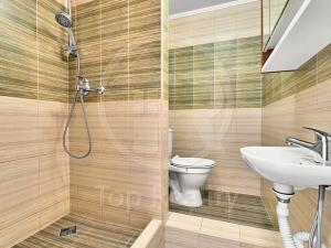Prodej bytu 1+1, Chodov, Čapkova, 38 m2