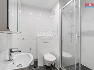 Prodej bytu 2+kk, Teplice - Trnovany, Trnovanská, 39 m2