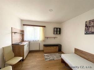 Pronájem bytu 1+kk, Roztoky, 12 m2