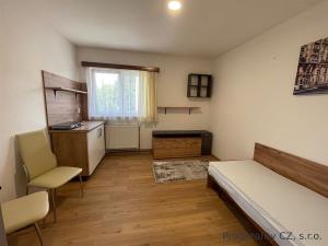 Pronájem bytu 1+kk, Roztoky, 12 m2