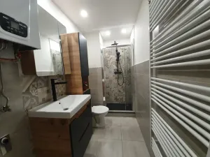 Pronájem bytu 1+1, Opava, Polanova, 32 m2